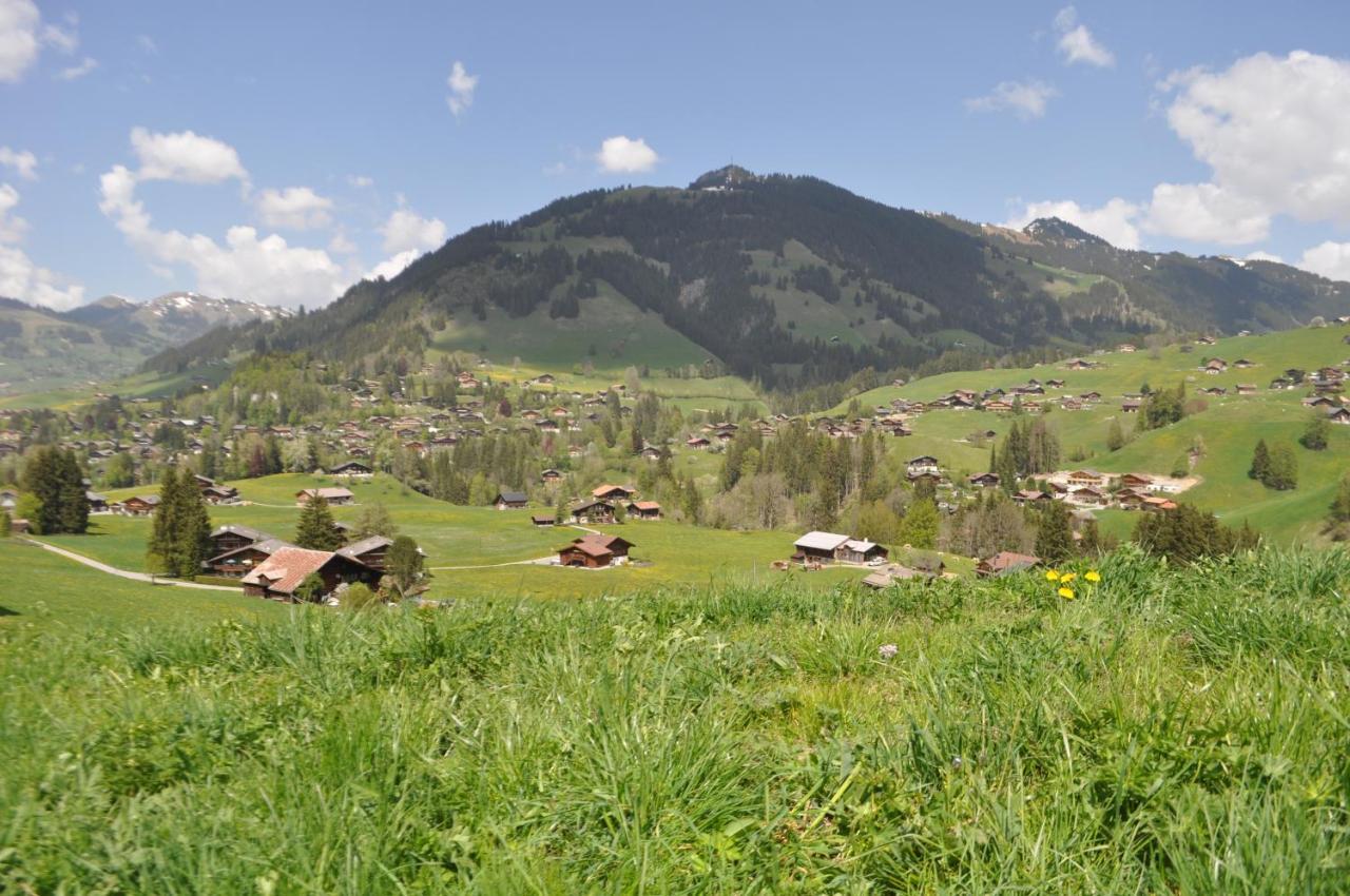 Alpenchalet Weidhaus Gstaad Exterior foto