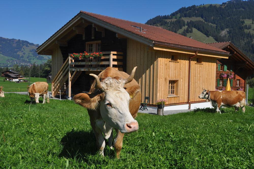 Alpenchalet Weidhaus Gstaad Exterior foto